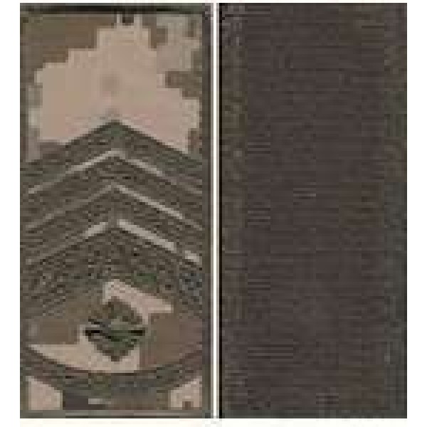 Погоны МО липучка вышитые главный мастер-сержант основа укр.пиксель новые - 3443383