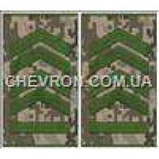 Погоны МО муфта европейского образца старшина основа украинский пиксель