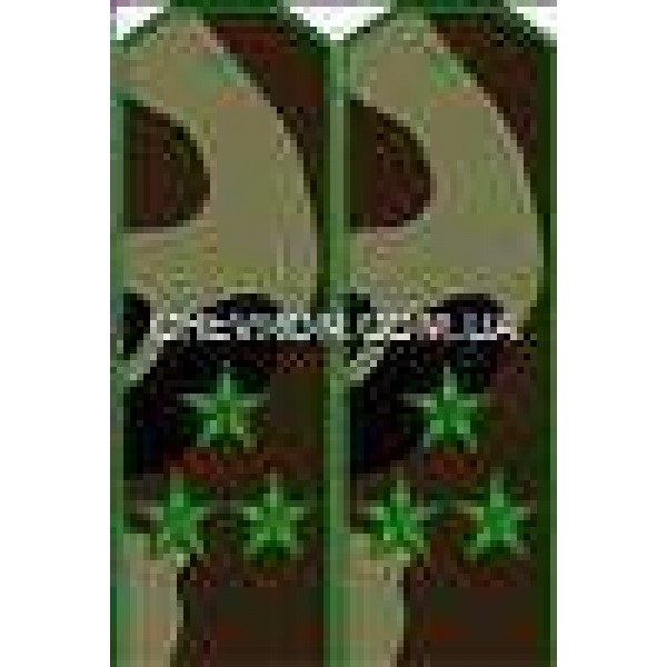 Погон МО вишиті полковник - 3443397