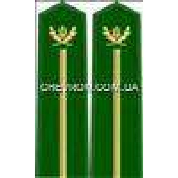 Погоны лесной охраны вышитые младшие - 3443402