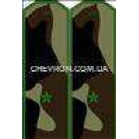 Погоны МО вышитые младший лейтенант