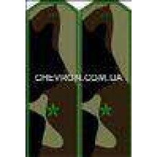 Погоны МО вышитые младший лейтенант