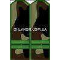 Погоны МО вышитые младший сержант