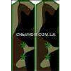 Погоны МО вышитые прапорщик