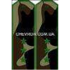 Погоны МО вышитые старший прапорщик