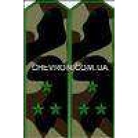 Погоны МО вышитые старший лейтенант