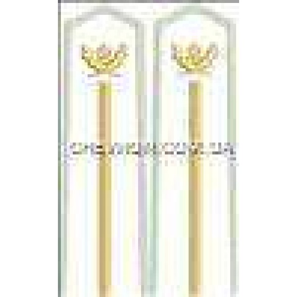 Погони лісової охорони вишиті молодші - 3443425