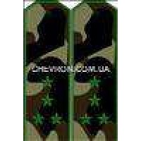 Погони МО вишиті капітан