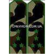 Погоны МО вышитые капитан