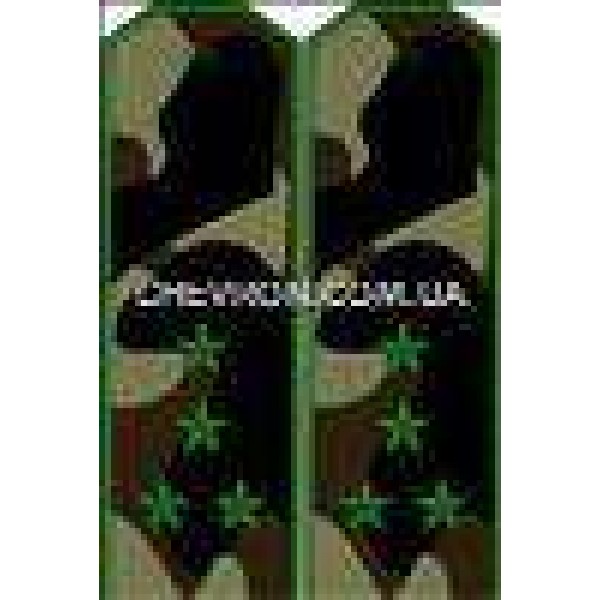 Погоны МО вышитые капитан - 3443439