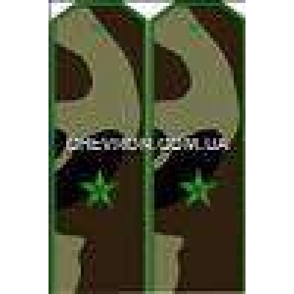 Погон МО вышитые майор - 3443441