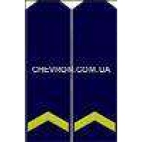 Погони ВВС вишиті єфрейтор