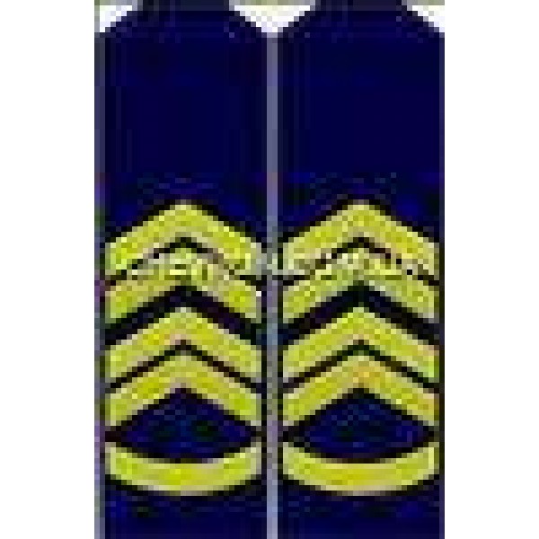 Погони ВВС вишиті прапорщик - 3443448