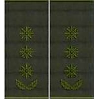Погони Полковник Поліції муфта (олива)