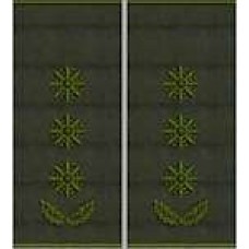 Погони Полковник Поліції муфта (олива)