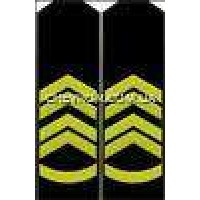 Погоны ВМФ вышитые прапорщик