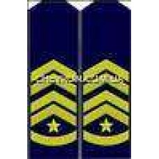 Погоны ВМФ вышитые старший прапорщик