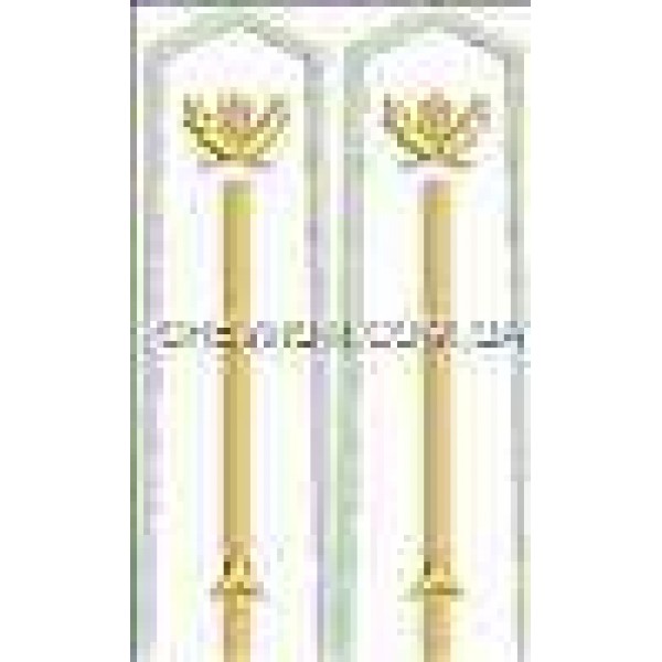 Погоны лесной охраны вышитые младшие 1 звезда - 3443480