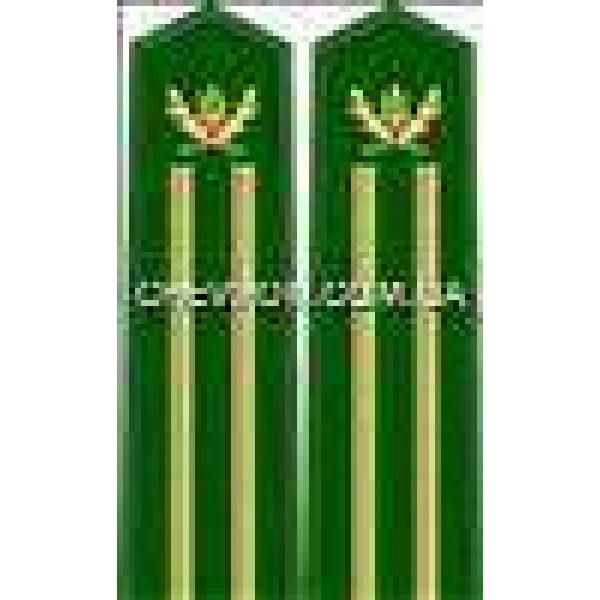 Погоны лесной охраны вышитые старшие - 3443485