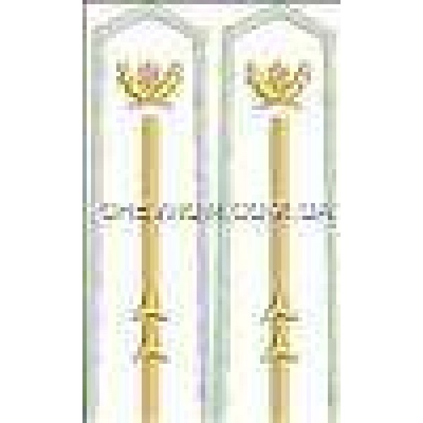 Погони лісової охорони вишиті молодші 2 зірки - 3443490