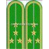 Погони прикордонників вишиті капітан