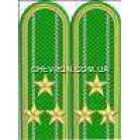 Погони прикордонників вишиті полковник