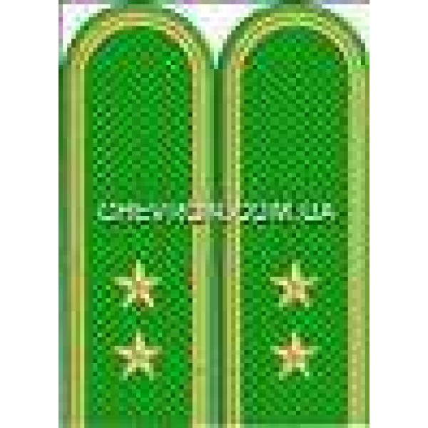 Погоны пограничников вышитые прапорщик - 3443520