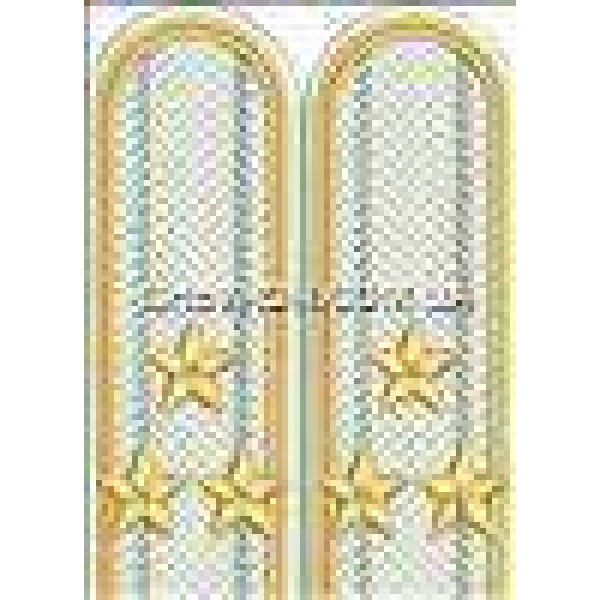 Погоны пограничников вышитые полковник - 3443521