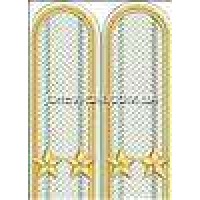 Погони прикордонників вишиті підполковник