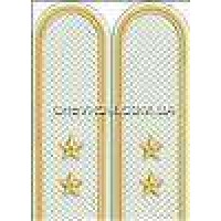 Погони прикордонників вишиті прапорщик