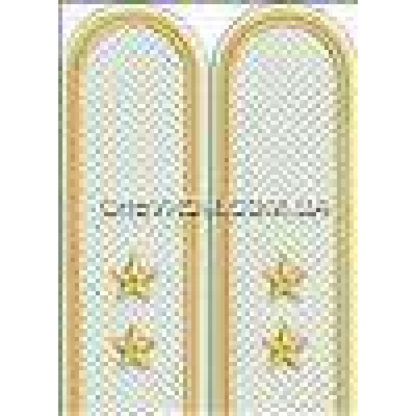 Погоны пограничников вышитые прапорщик - 3443527