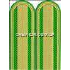 Погони прикордонників вишиті старшина