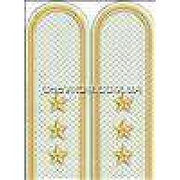 Погоны пограничников вышитые старший прапорщик