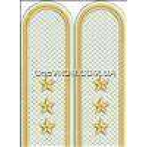 Погоны пограничников вышитые старший прапорщик - 3443530