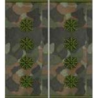 Погони Капітан Поліції муфта (бундес)