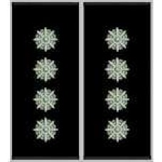 Погони Капітан Поліції муфта (чорні)