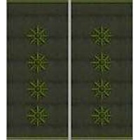 Погоны Капитан Полиции муфта (олива)