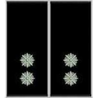 Погоны Лейтенант Полиции муфта (черные)