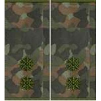 Погони Лейтенант Поліції муфта (бундес)