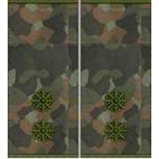 Погони Лейтенант Поліції муфта (бундес)