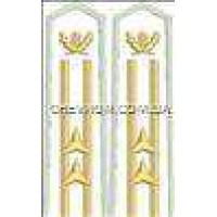 Погони лісової охорони вишиті старші 2 зірки