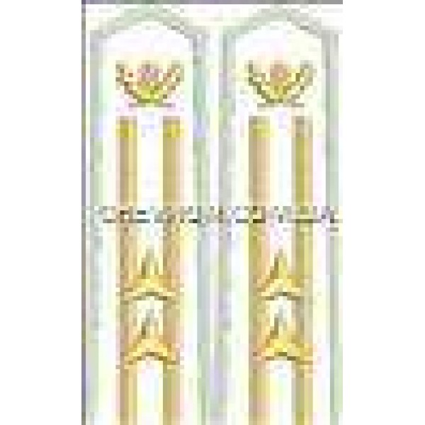 Погоны лесной охраны вышитые старшие 2 звезды - 3443554