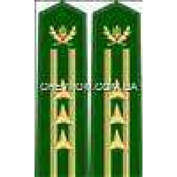 Погони лісової охорони вишиті старші 3 зірки - 3443555