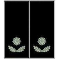 Погоны Майор Полиции муфта (черные)