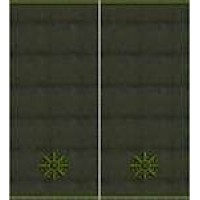 Погони Молодший лейтенант Поліції муфта (олива)