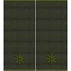 Погони Молодший лейтенант Поліції муфта (олива)