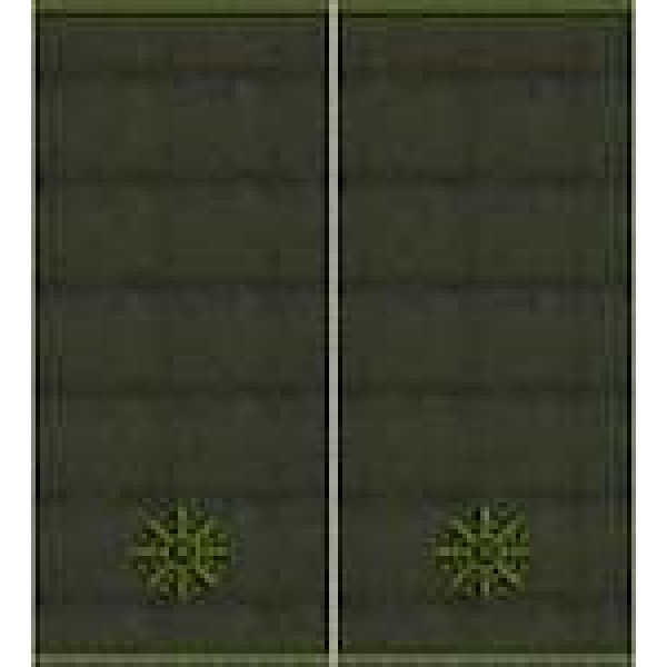 Погоны Младший лейтенант Полиции муфта (олива) - 3443563