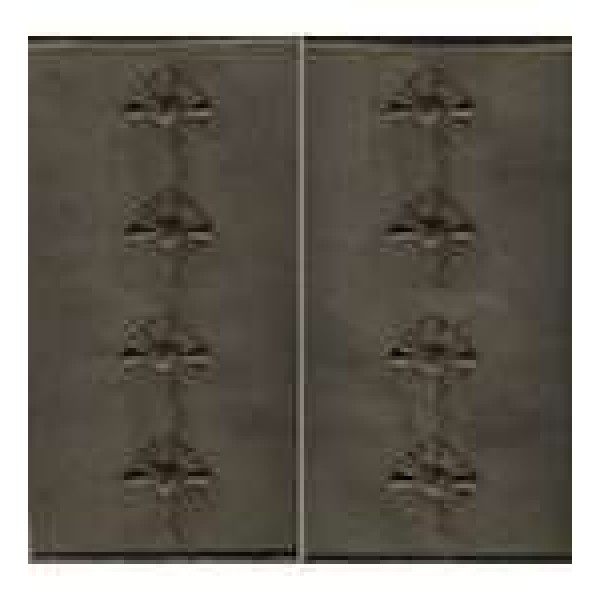 Погони МО муфта вишиті капітан основа олива нові - 3443570