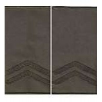 Погоны МО муфта вышитые капрал основа олива новые