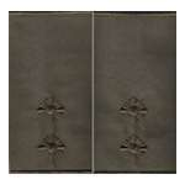 Погони МО муфта вишиті лейтенант основа олива нові - 3443574